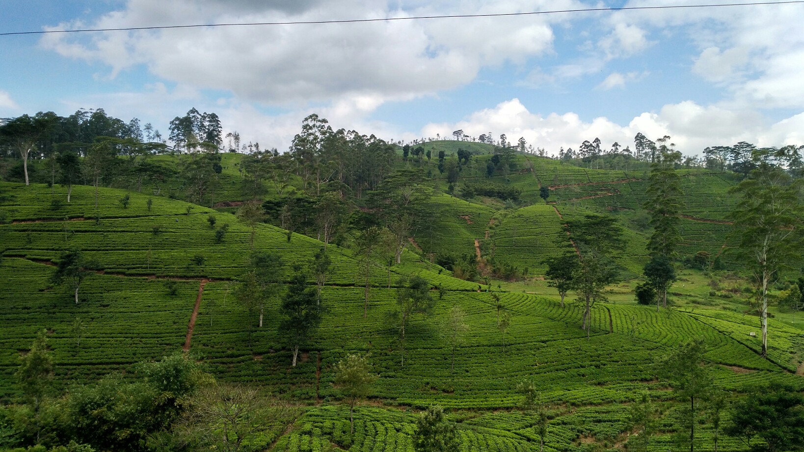 Train Ride